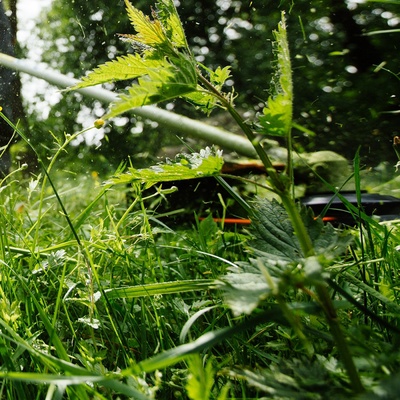 Desbrozadora Echo Srm 2621 ESL